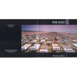 PINK FLOYD - A MOMENTARY LAPSE OF REASON